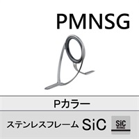 ステンレスSiC 両足ガイド/PMNSG